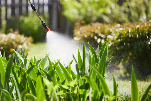 24/7 Emergency Ant Control experts in Breckenridge, MN